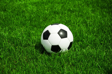 雷速体育应用下载界面